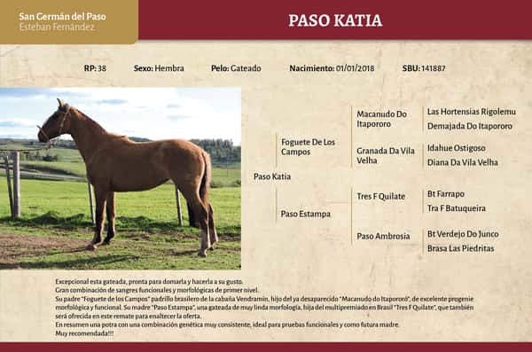 Lote Paso Katia (RP) - Cabaña San Germán del Paso