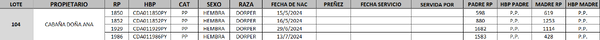 Lote LOTE 104