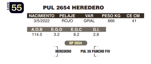 Lote LOTE 55