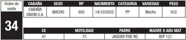 Lote LOTE 34