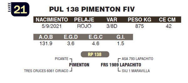 Lote LOTE 21