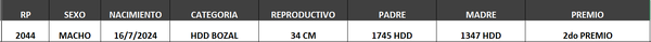 Lote LOTE 16- BOZAL