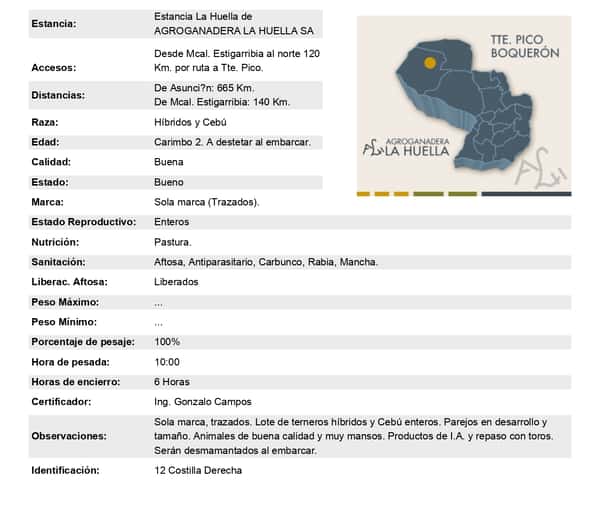 Lote Lote 8