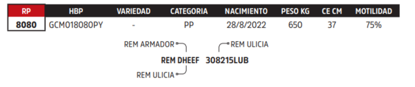 Lote LOTE 15