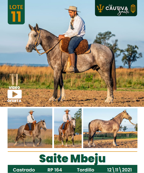 Lote LOTE 11