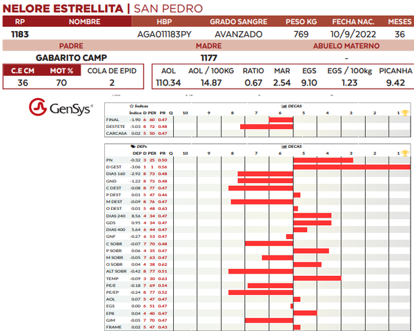 Lote LOTE 7
