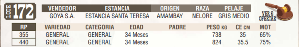 Lote LOTE 172 - EN VIVO