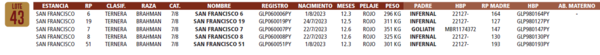 Lote LOTE 43