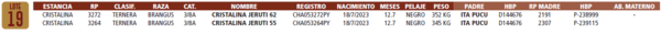 Lote LOTE 19