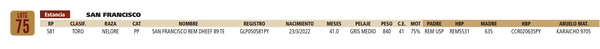 Lote LOTE 75