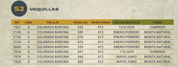 Lote LOTE 52