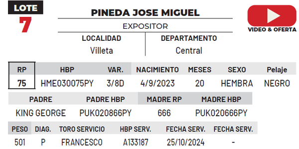 Lote LOTE 7