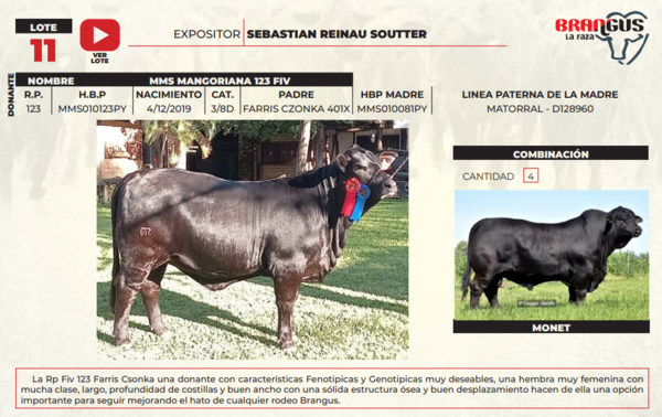 Lote LOTE 11