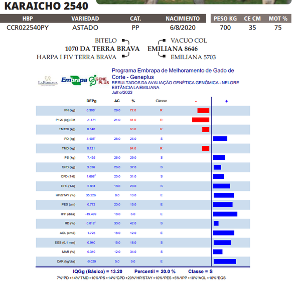 Lote LOTE 75