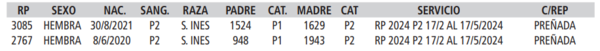 Lote LOTE 35