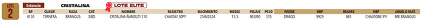 Lote LOTE 2