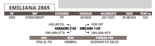 Lote LOTE 63