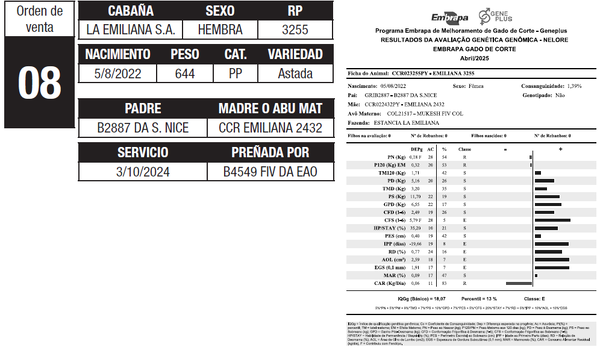 Lote LOTE 8