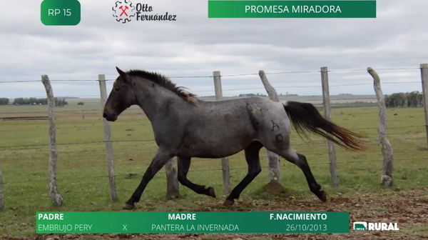Lote Promesa Miradora