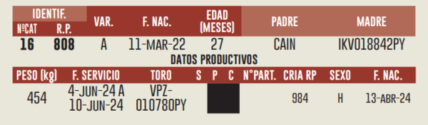 Lote LOTE 14