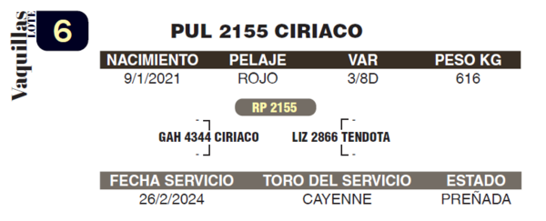 Lote LOTE 6