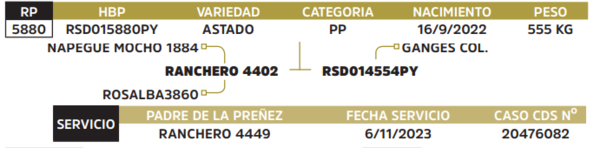 Lote LOTE 67