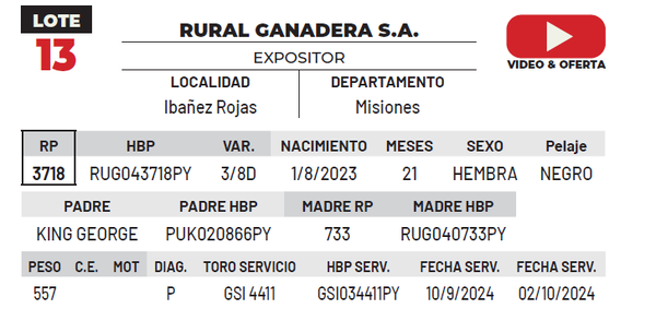 Lote LOTE 13