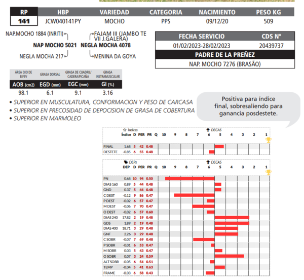 Lote LOTE 30