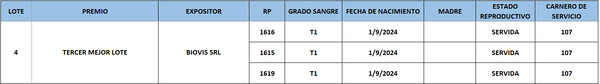 Lote LOTE 4