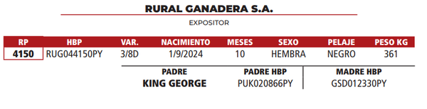 Lote LOTE 12