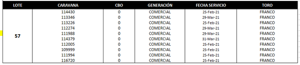 Lote Reproductores de Alborada - Lote 57