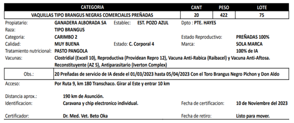 Lote LOTE 75