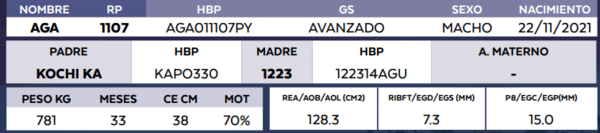 Lote LOTE 30