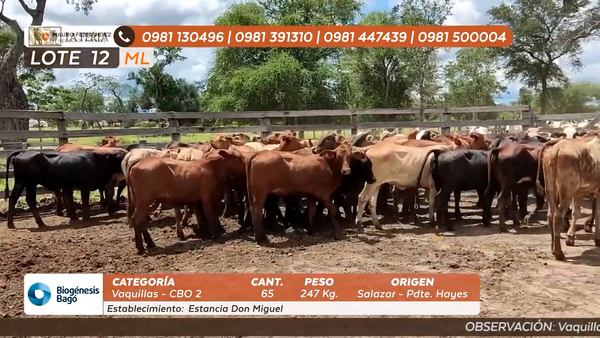 Lote ESTANCIA DON MIGUEL