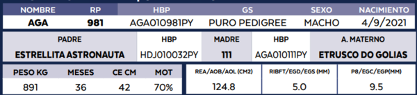 Lote LOTE 72