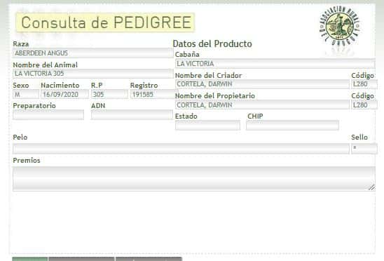 Lote TORO PI - RP 305