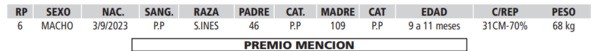 Lote LOTE 4