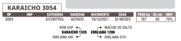 Lote LOTE 43