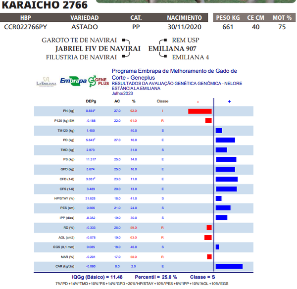 Lote LOTE 81