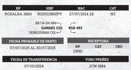 Lote LOTE 2 - PREÑECES