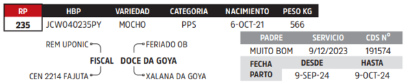 Lote LOTE 81