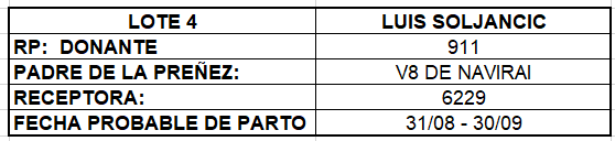 Lote LOTE 4 - PREÑECES