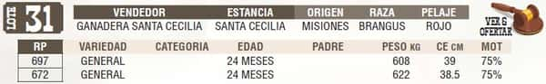 Lote LOTE 31 - EN VIVO