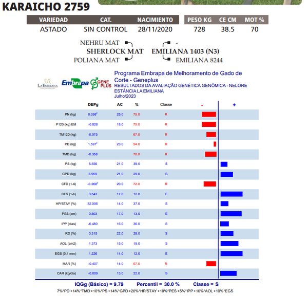 Lote LOTE 28