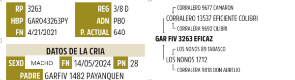 Lote LOTE 35