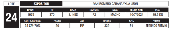 Lote LOTE 24