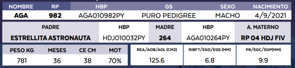 Lote LOTE 65