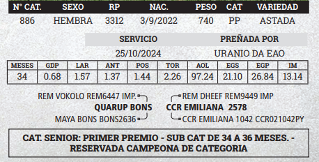 Lote LOTE 13 - BOZAL