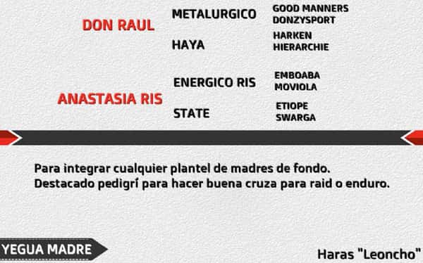 Lote USURPADORA