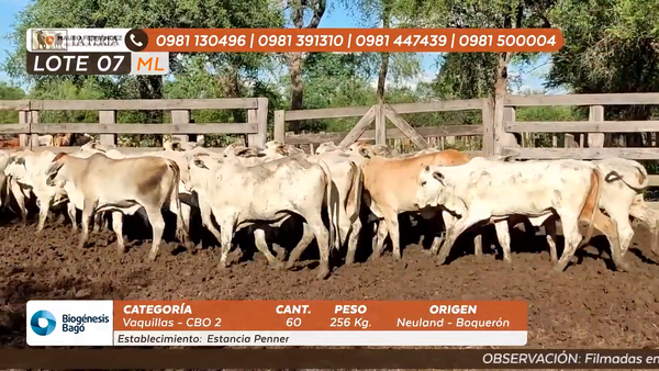 Lote ESTANCIA PENNER